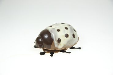 Marienkäfer  35g