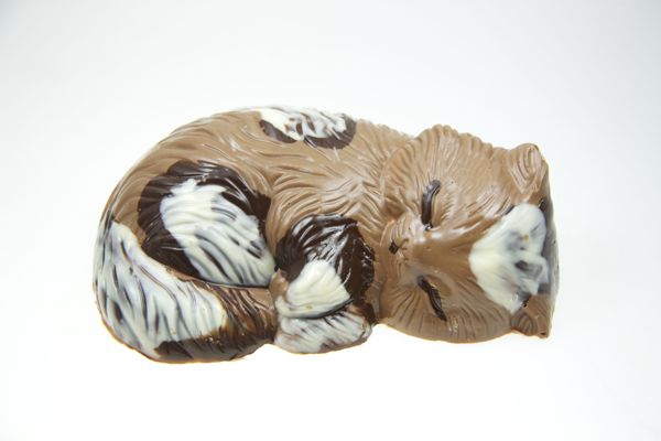 Große Katze liegend  130g